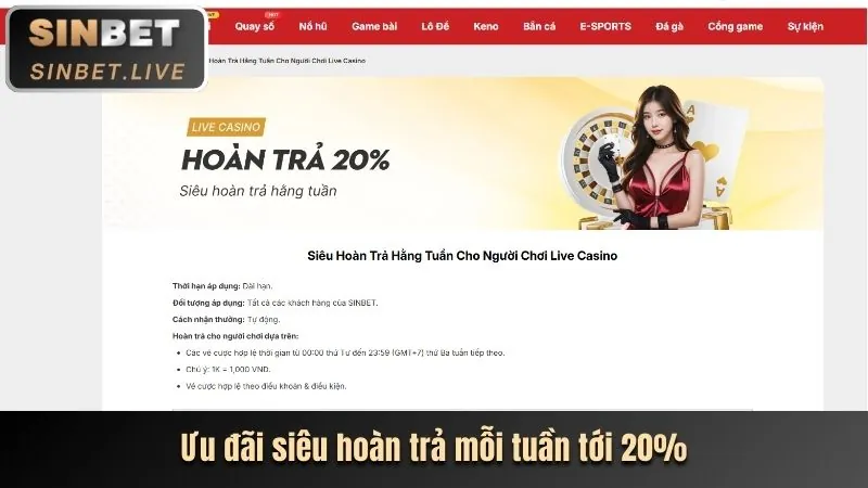 Hoàn trả hàng tuần okvip bet